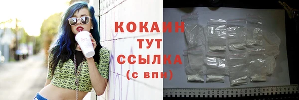 стафф Вяземский