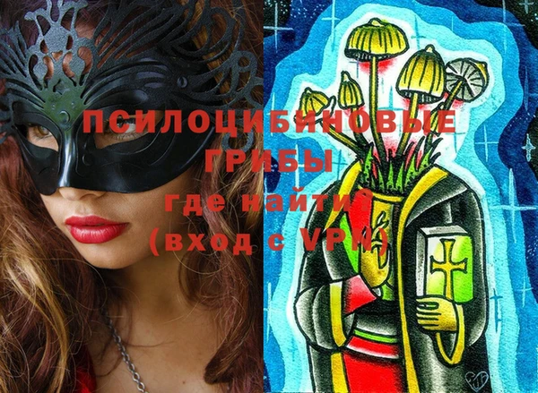 твердый Вязьма