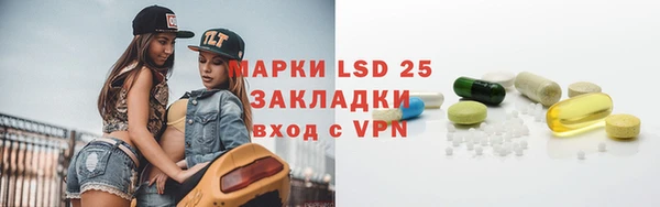 стафф Вяземский