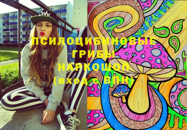 стафф Вяземский