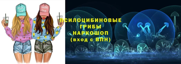 стафф Вяземский